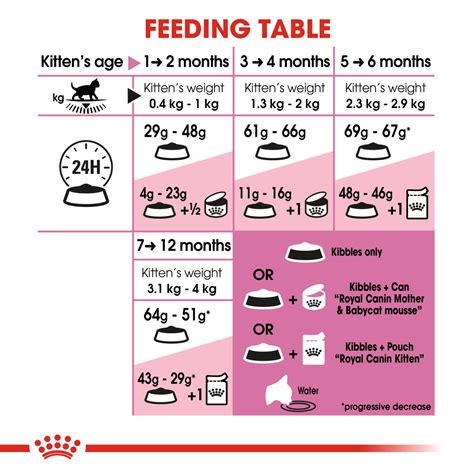 幼貓餵食量如何拿捏？全面指南告訴你！