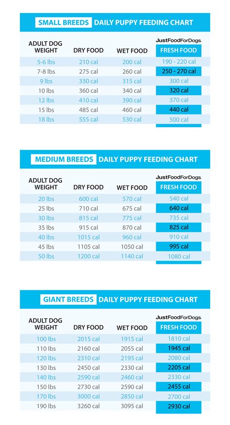 三個月幼犬食量揭秘！如何讓您的毛小孩健康成長？